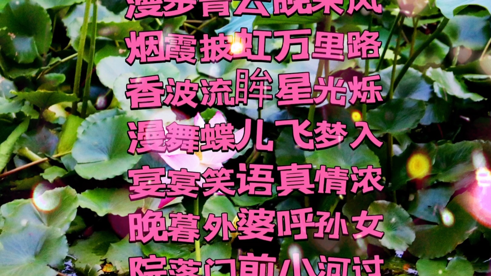 [图]香荷晚风相思赋