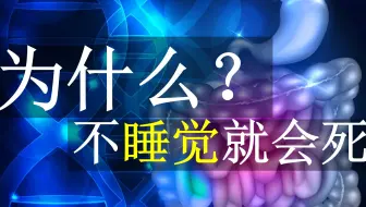 为什么不睡觉就会死？肠道有话要说