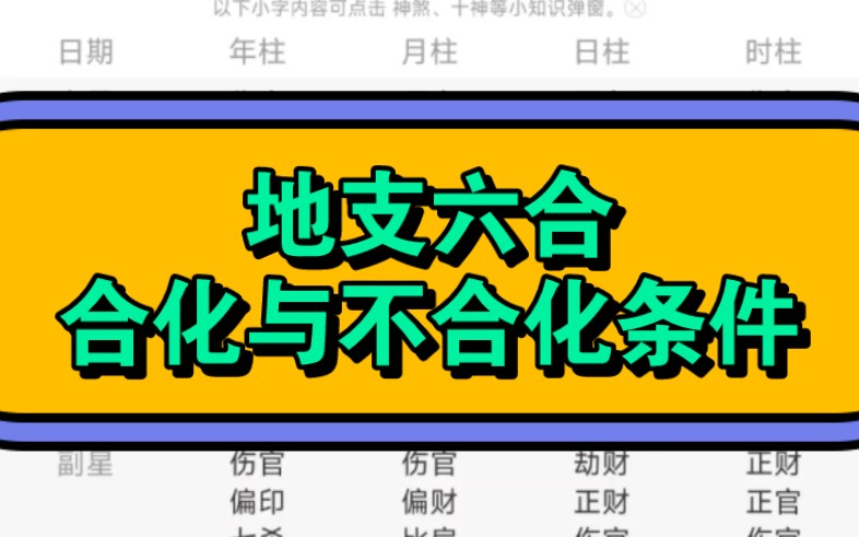 基础知识错误,断命必然错误,地支六合,合化与不合化条件哔哩哔哩bilibili