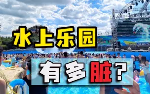 下载视频: 花200去水上乐园，满池子尽是青蛙蜘蛛，游客：再也不敢去了！