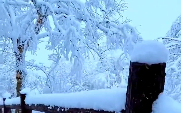 霜雪落满头,也算共白首,天地初寒,雪落人间,愿岁月安暖,故人不散,愿你温柔两半,不惧流年似水一样电子竞技热门视频