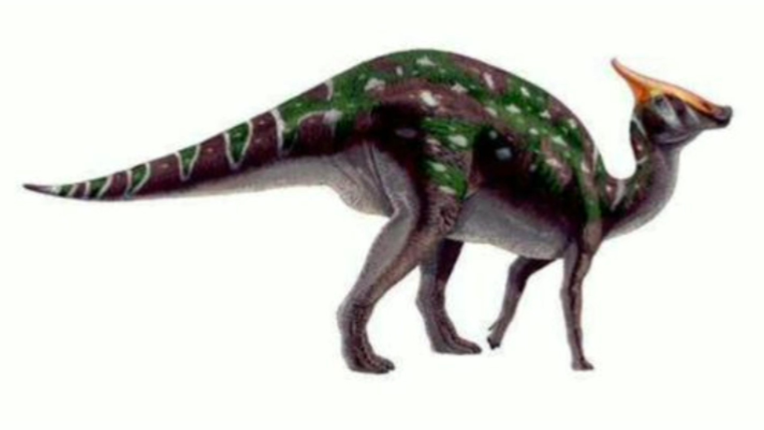 带冠的鸭嘴龙类:栉龙的叫声