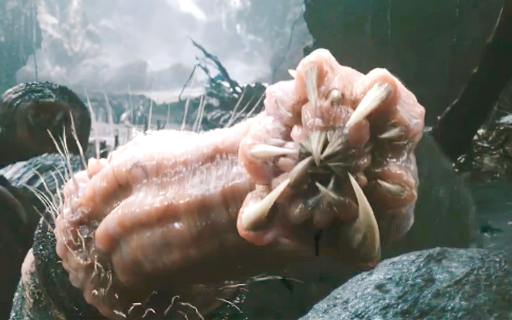 解密哥斯拉骷髅岛上的食人水怪恶水皂荚的故事