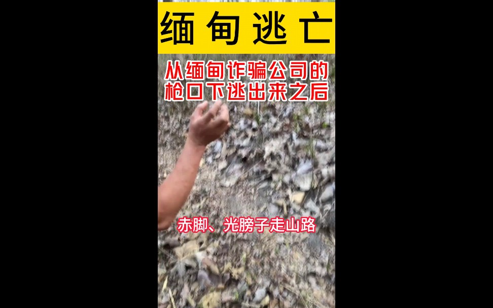 [图]【缅北惊魂！一位成功逃亡者的自述→….】