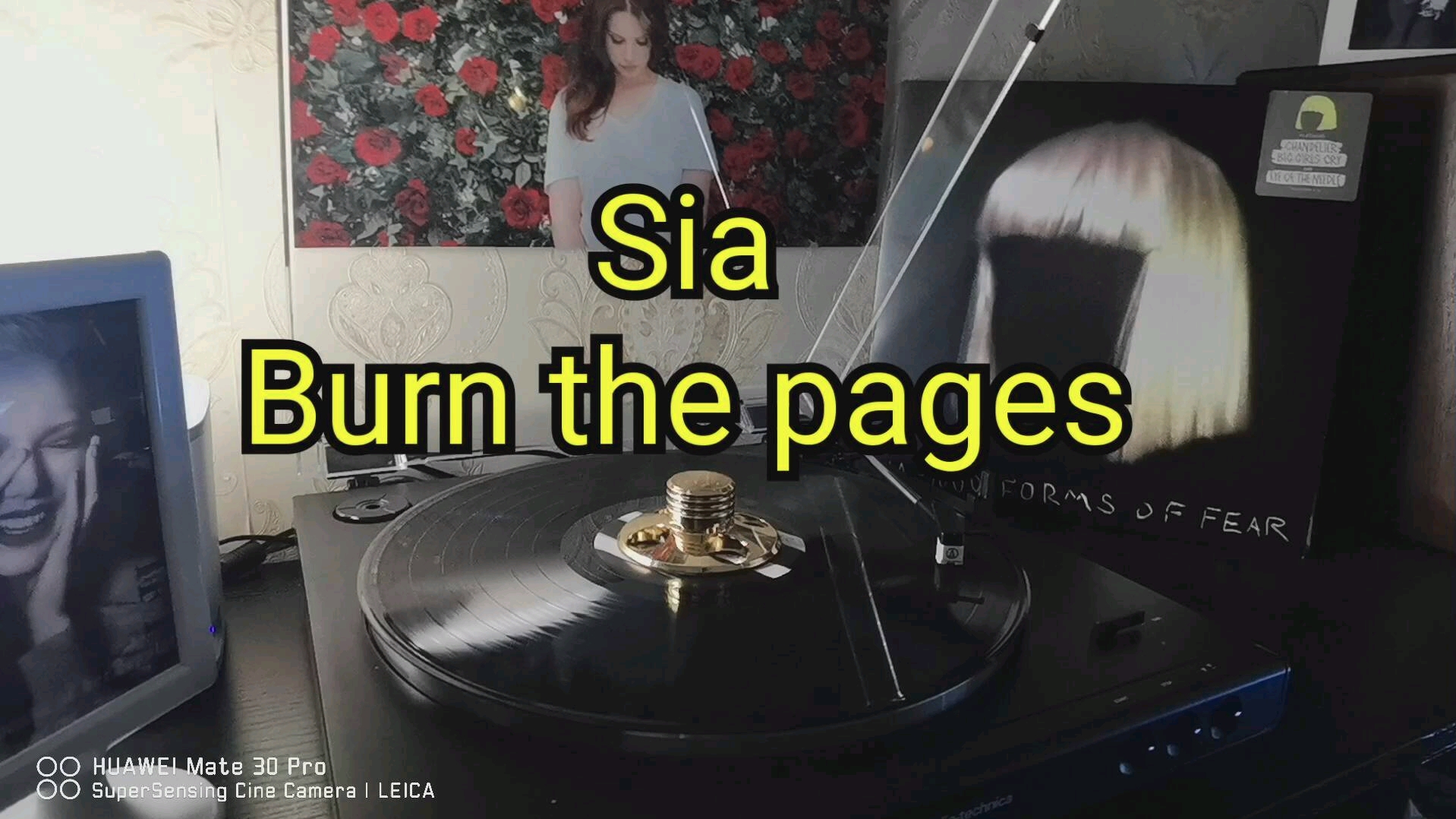 [图]Sia––Burn the pages黑胶试听