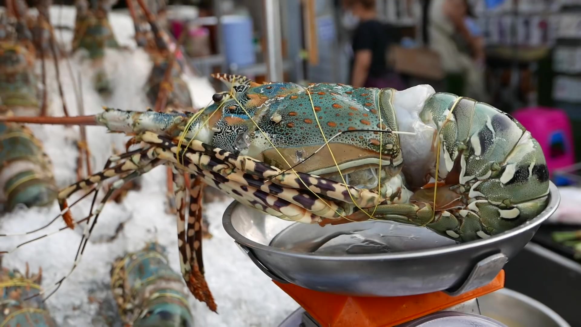 泰国街头美食小吃-------大龙虾