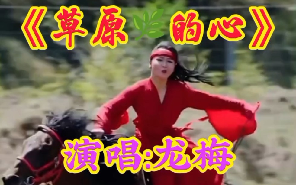 龙梅演唱的《草原的心》太好所了