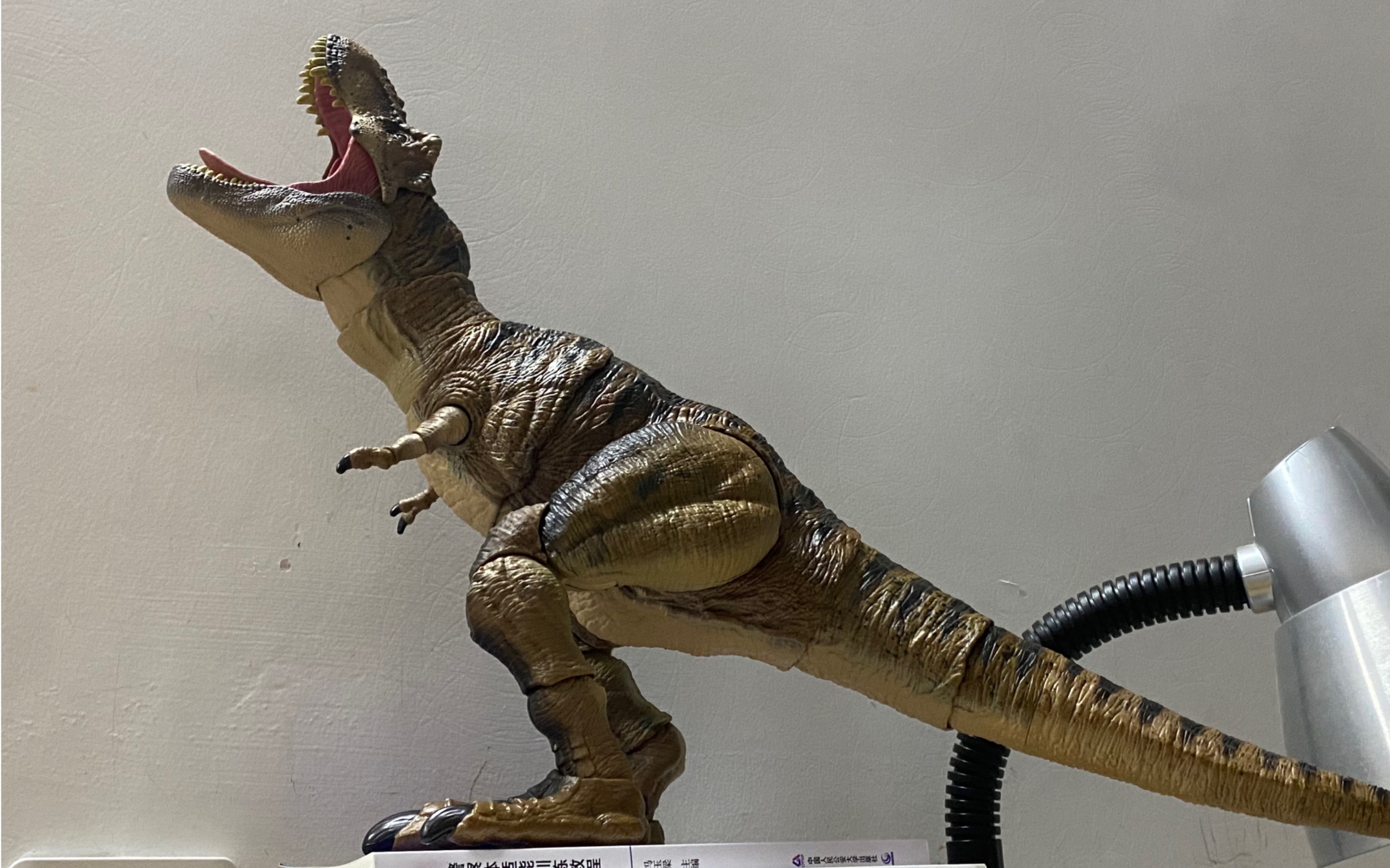 [美泰哈蒙德收藏系列/霸王龙]大尺寸可动霸王龙 造型很值得入手的一款
