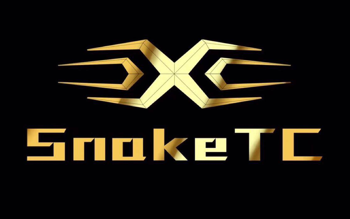 绝地求生国服陈赫和他的snaketc职业战队期待国服上线