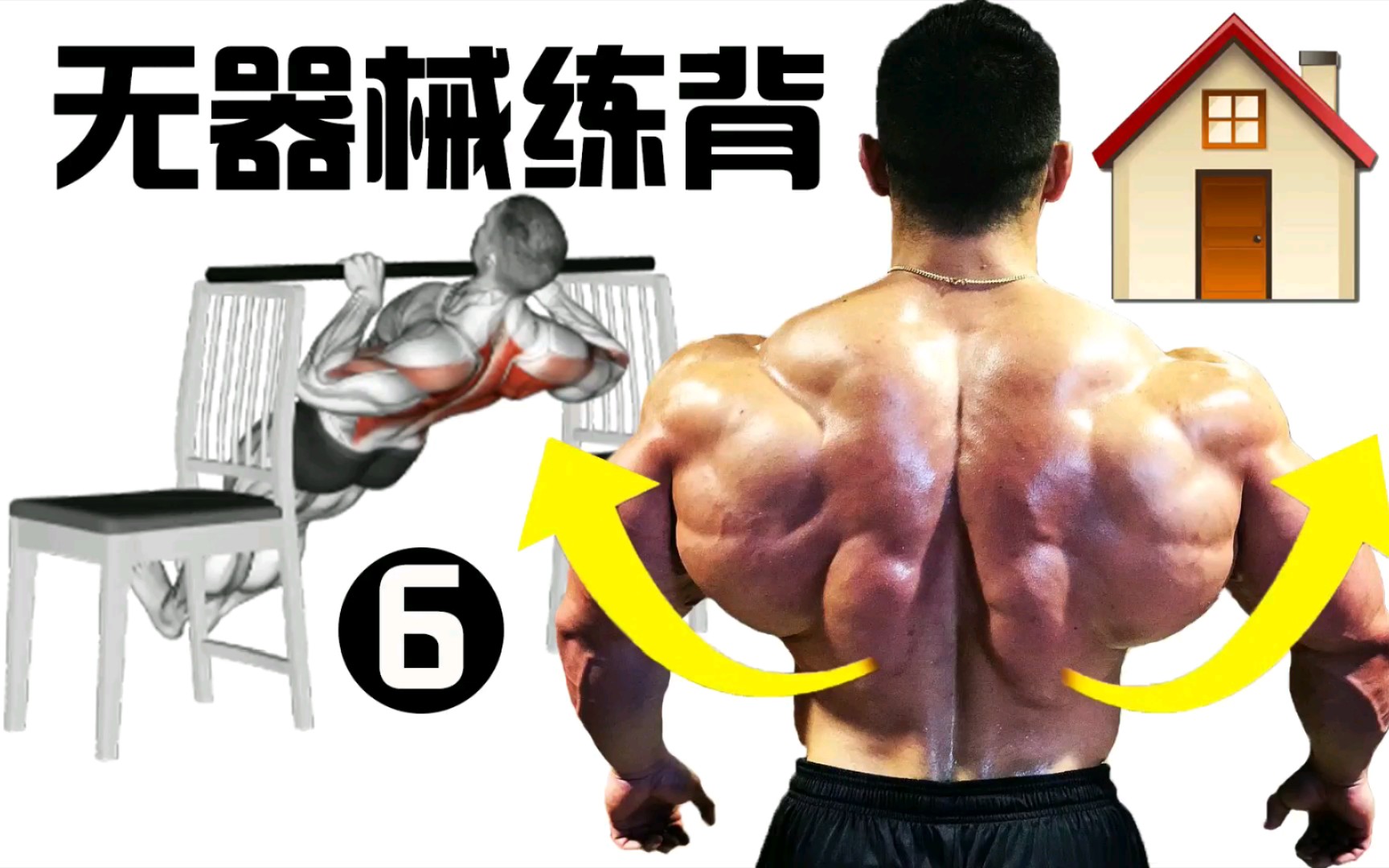 全网首发居家无器械背部训练方案,不需要任何器械就可在家撸背_哔哩哔哩_bilibili