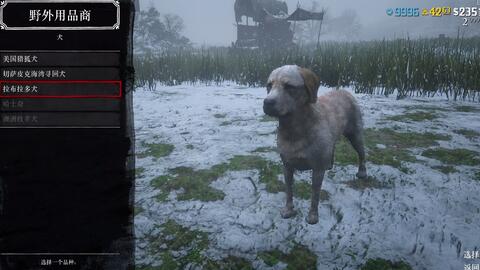 49元red Dead Redemption 2不香吗 哔哩哔哩 Bilibili