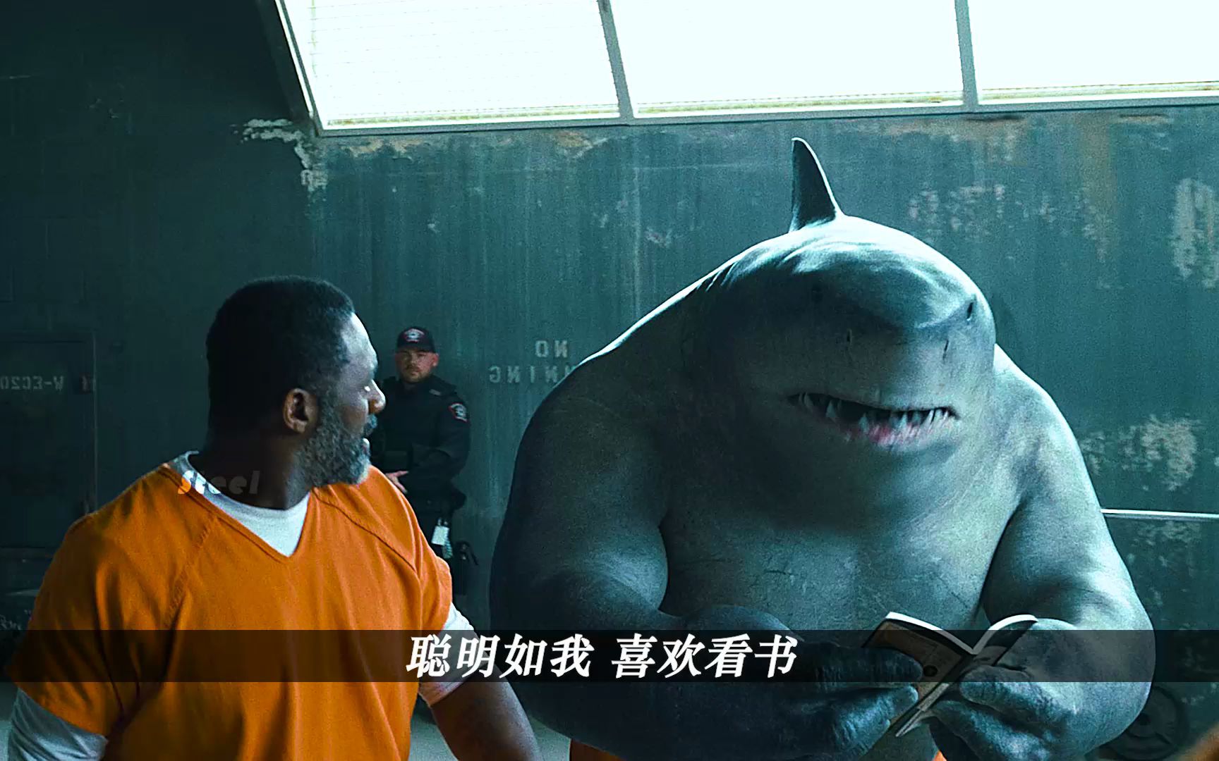 鲨鱼王壁纸图片