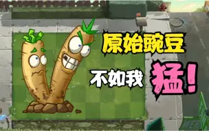 Download Video: 黑猫植物评测 牛蒡击球手 比原始豌豆伤害还离谱的植物！