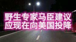 “专家”马臣建议,如今向美国投降代价最小,一旦投降晚要挨打?哔哩哔哩bilibili