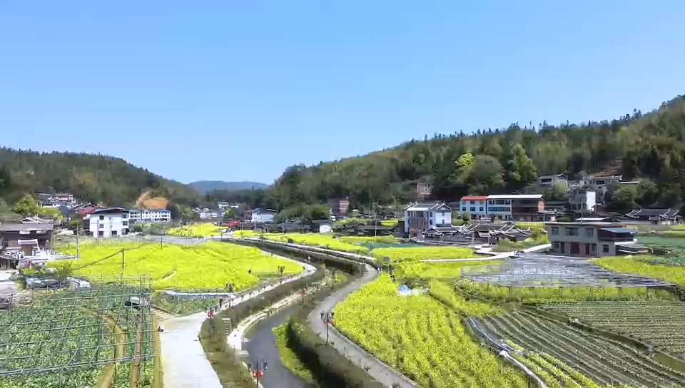 青水花镜 三明市鱼米乡品牌管理有限公司哔哩哔哩bilibili