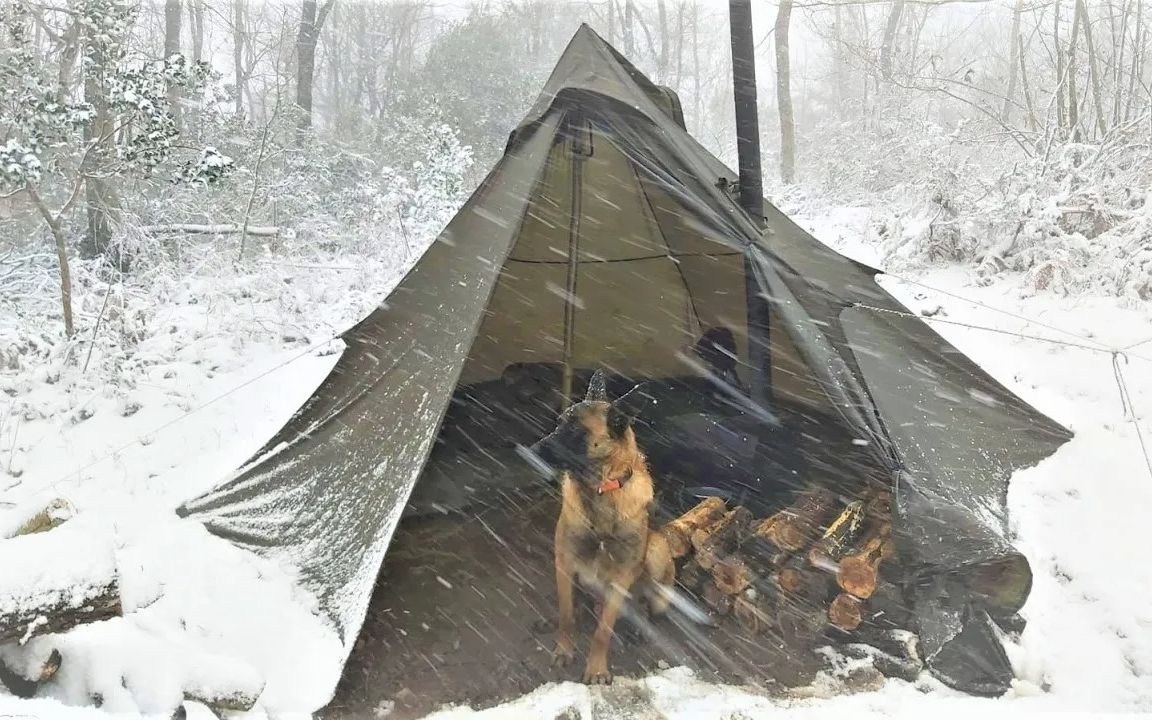 「Wargeh Bushcraft」暴雪天和狗子在户外露营4天-Victor555666-Victor555666-哔哩哔哩视频