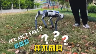 Download Video: 摔不倒的机器狗？