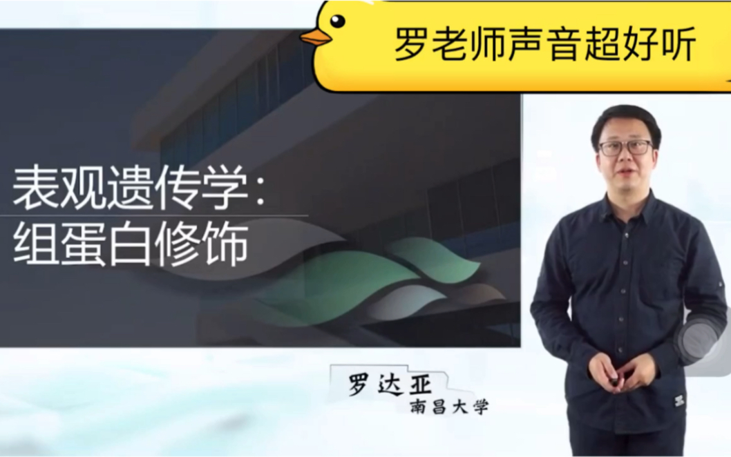 医学分子生物学 第六章 第二节 表观遗传学组蛋白修饰哔哩哔哩bilibili