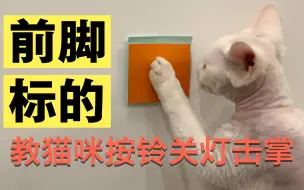 【猫咪训练】想教猫咪关灯/按铃/击掌/握手/上肩？必学前脚标的训练