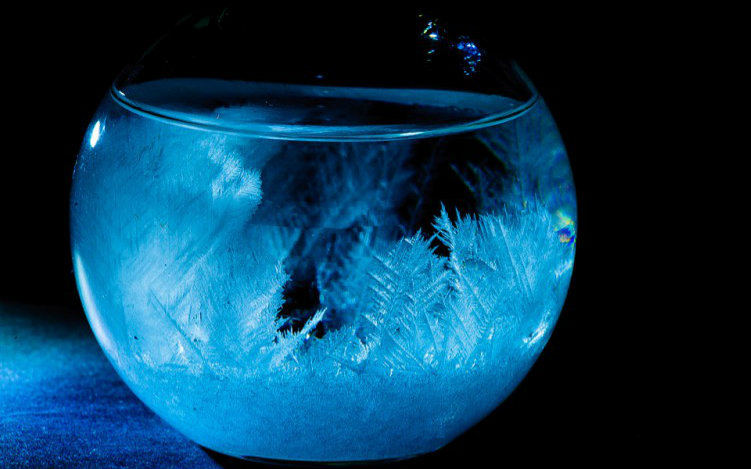 送女神的最佳礼物教你制作天气瓶