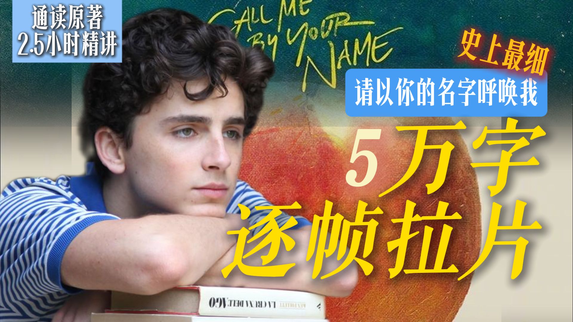 一口气看爽！史上最细《请以你的名字呼唤我》2.5小时逐帧精讲 结合原著，揭秘少年的夏日之恋