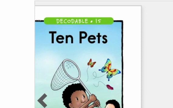 [图]Decodable Books｜#16 ten pets【词族en, et】