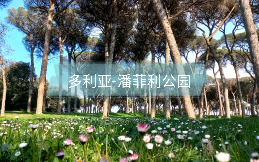 [图]罗马最大的城市公园之一 多利亚-潘菲利公园 ( Parco Villa Doria Pamphilj )