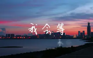 Download Video: 《我会等》-我会等枯树生出芽，开出新的花（动态歌词）