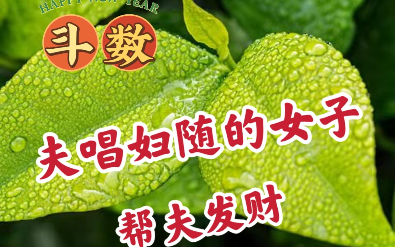 紫微斗数,女人帮助丈夫开公司发财,夫唱妇随,多好~哔哩哔哩bilibili