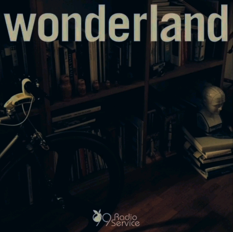 [图]Wonderland 【鲁邦三世 VS 名侦探柯南 THE MOVIE】剧中插入歌