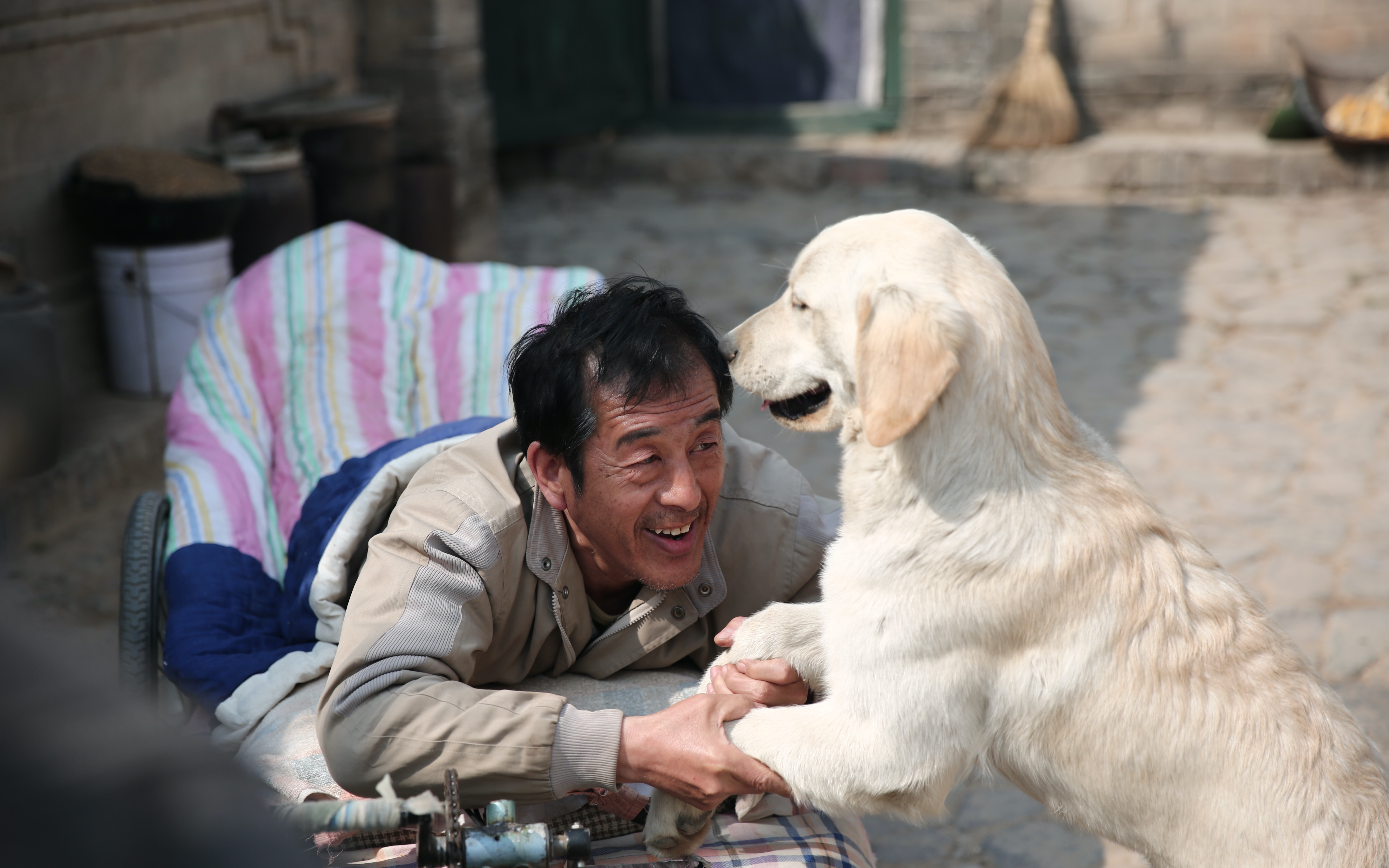 忠爱无言2 - 资源合集 - 小不点搜索