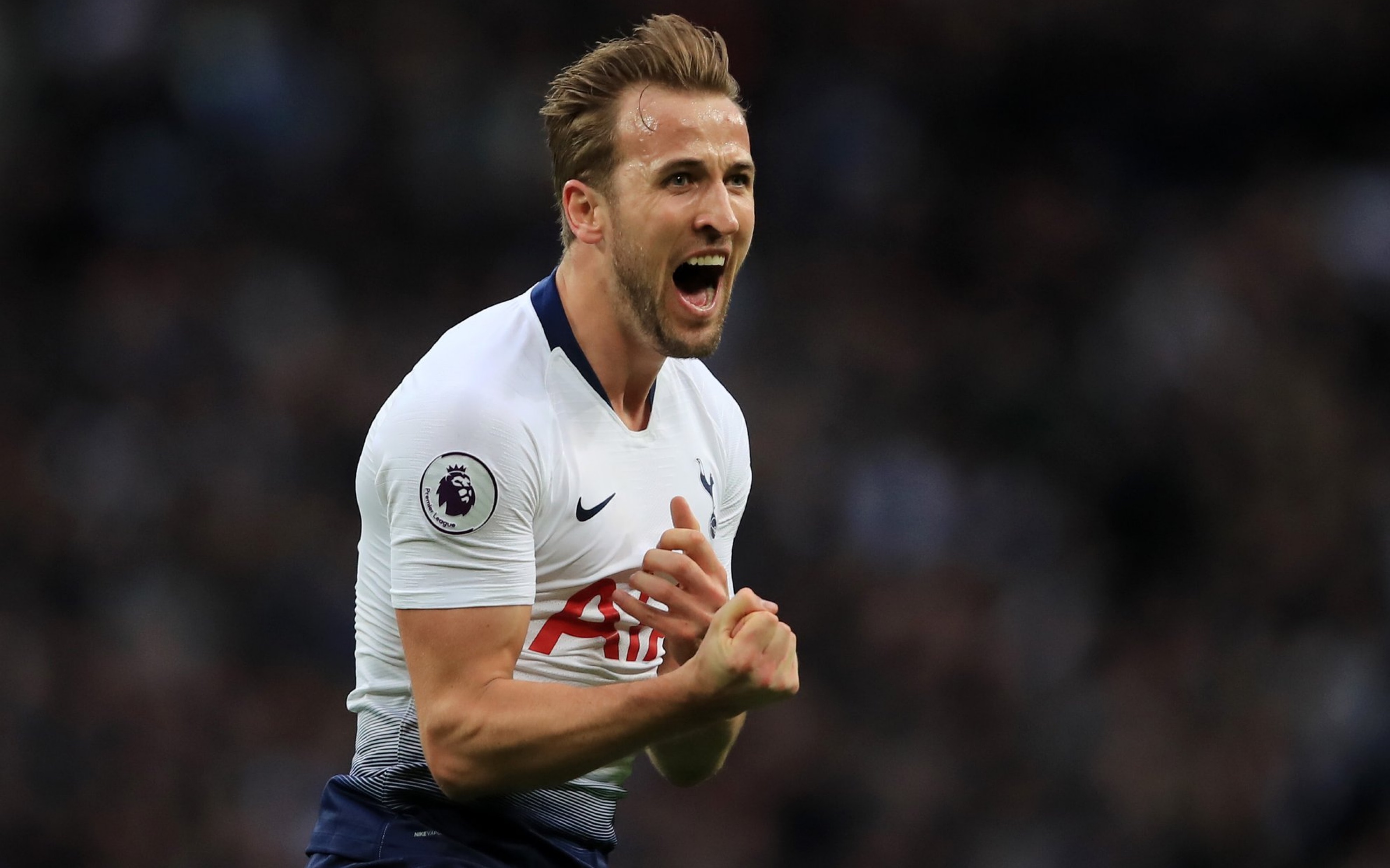 fifa足球世界凯恩进球锦集