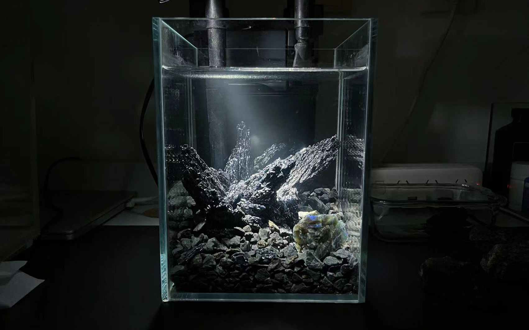 活动作品鱼缸造景暗黑风
