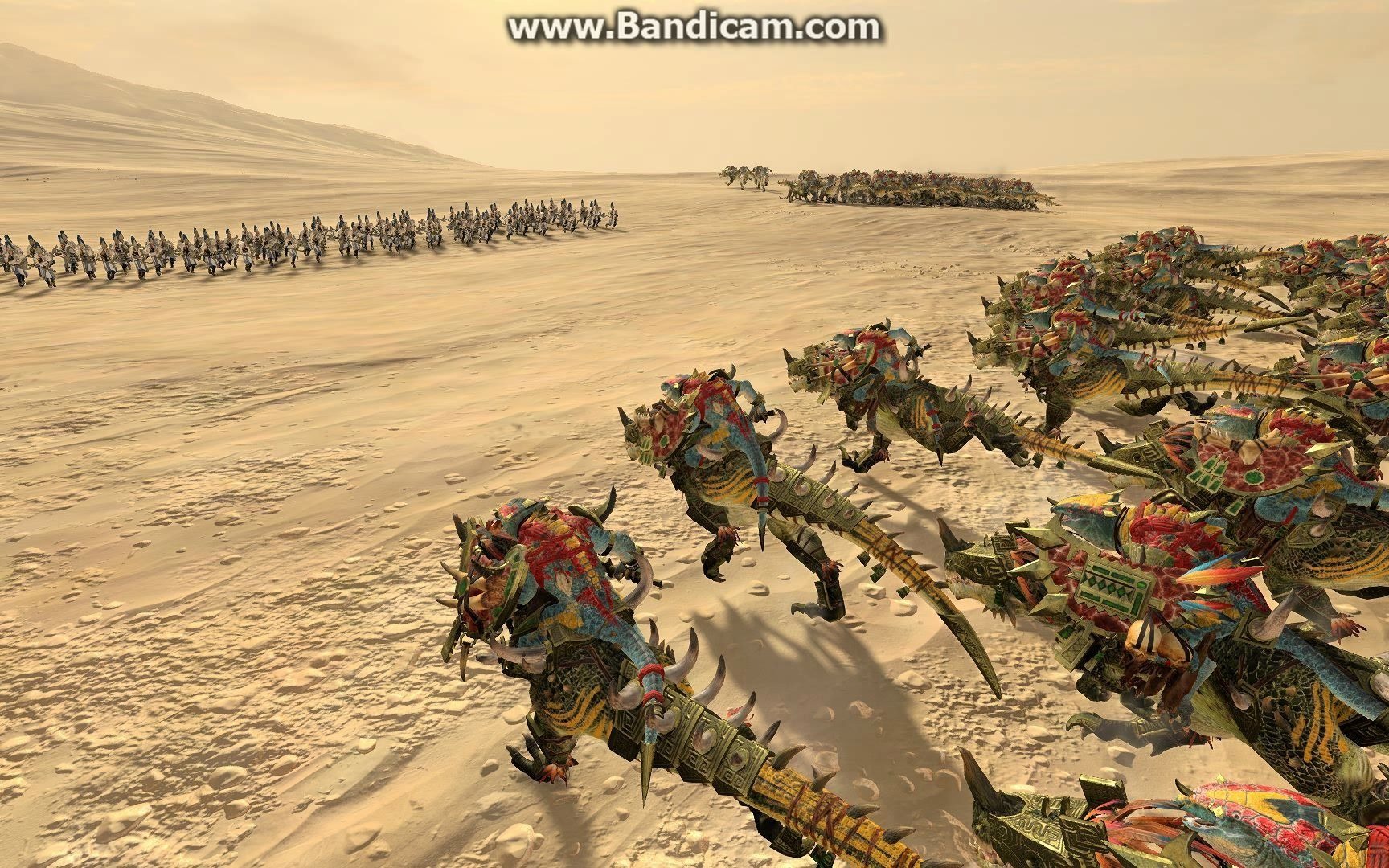 两队巨角vs白狮 白狮禁卫