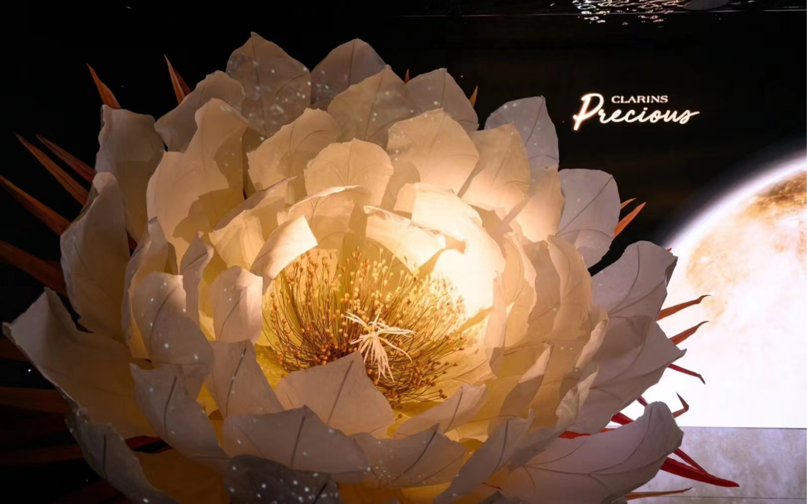 apax moments | clarins娇韵诗「凝时之境」,见证月神花开