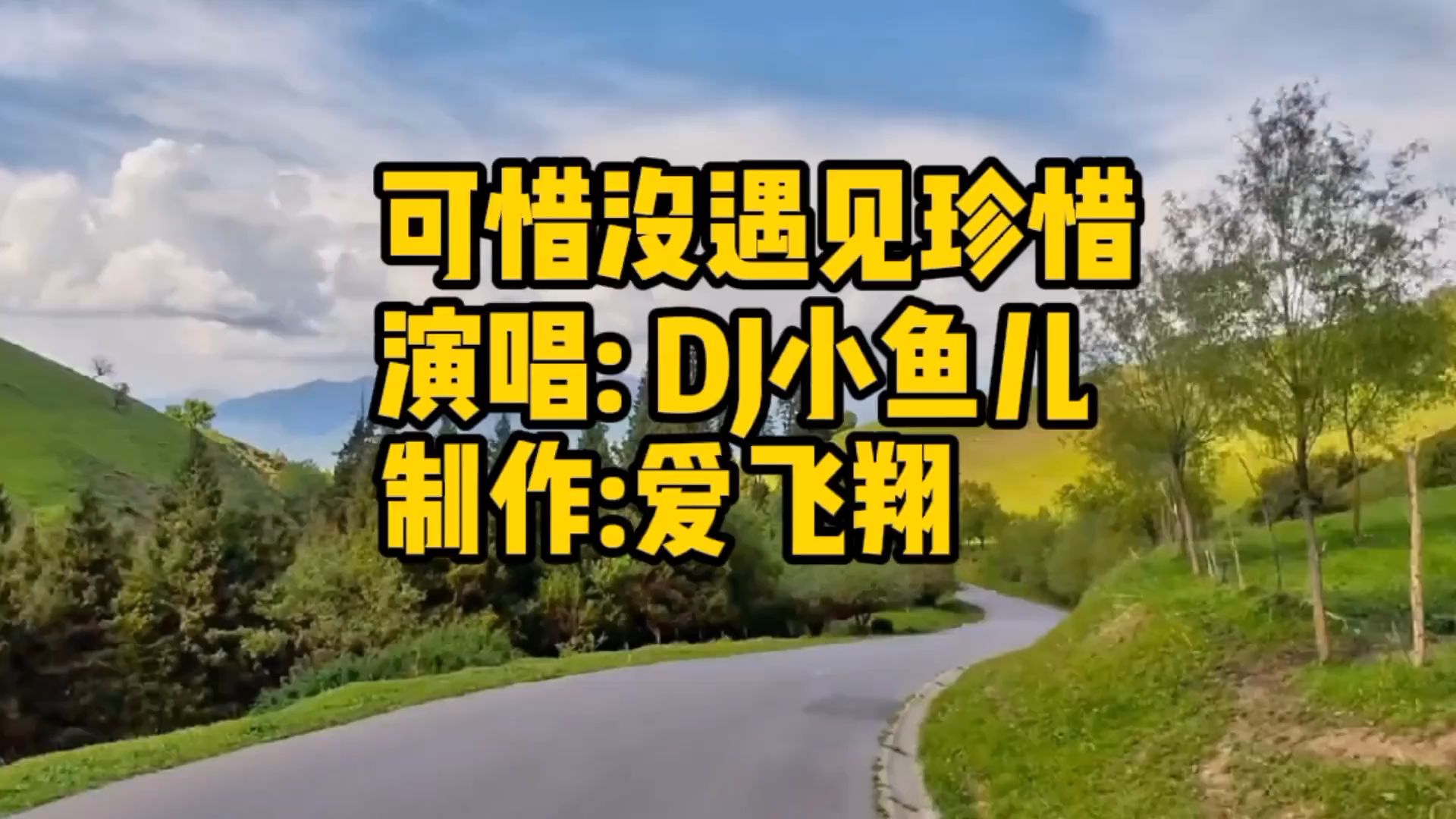 [图]DJ小鱼儿《可惜没遇见珍惜》当失去才懂得珍惜，谁又愿意等着你