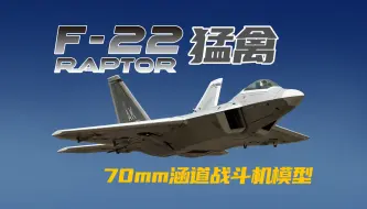 下载视频: 飞翼Freewing F-22 Raptor“猛禽”70系列仿真涵道飞机