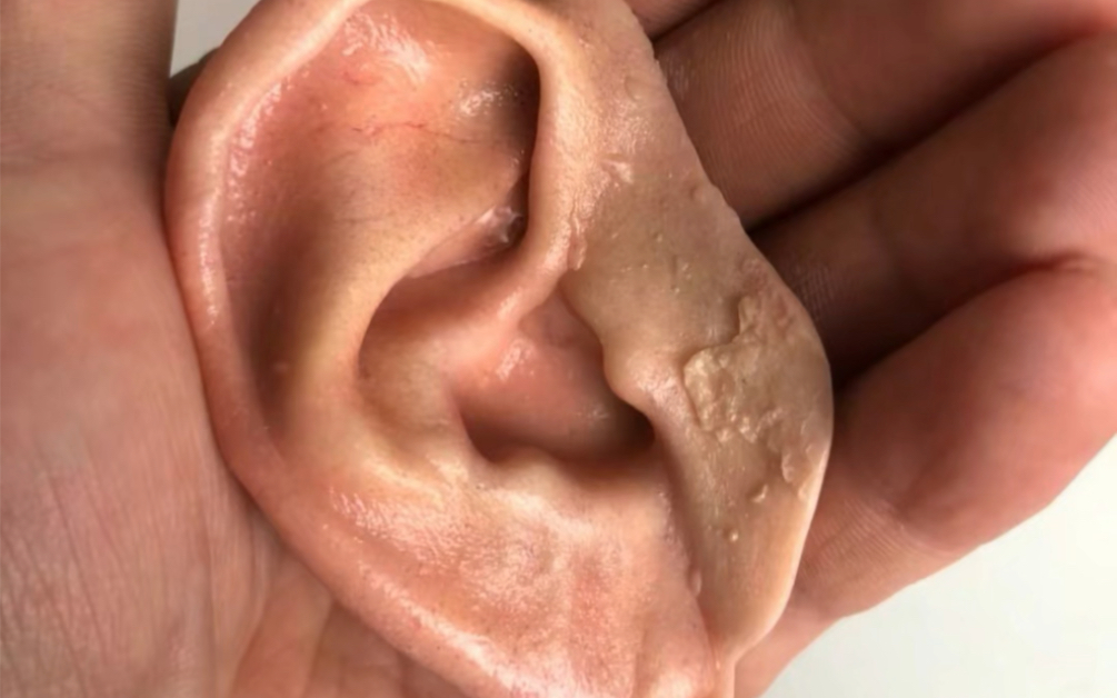 仿真硅胶耳朵涂妆效果