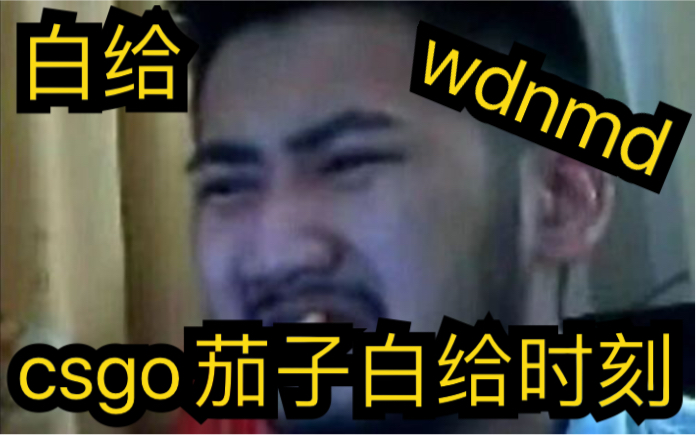 [图]（白给时刻2）csgo茄子；这个闸总是个挂吧wdnmd