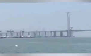 Tải video: 福建泉州南安海域又见白海豚，据说海豚是吉祥幸运的象征，快来签收你的好运吧~