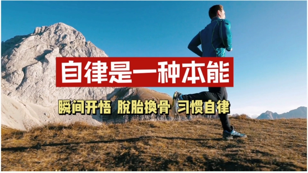 怎么做到自律上瘾