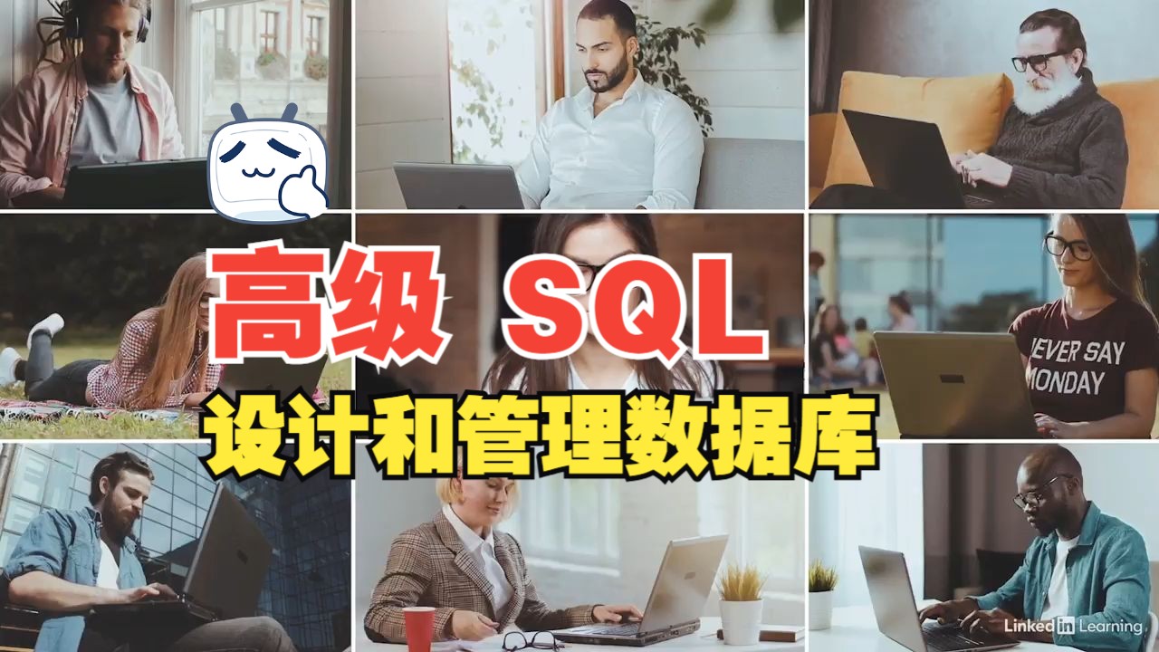 [中文字幕]高级 SQL 项目:设计和管理数据库哔哩哔哩bilibili