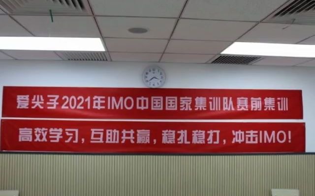 过半国集都在这!2021年IMO中国国家集训队赛前集训精彩剪影!哔哩哔哩bilibili