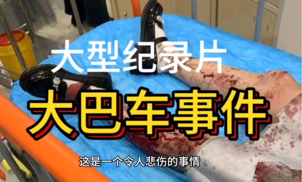 大型纪录片之大巴车事件哔哩哔哩bilibili