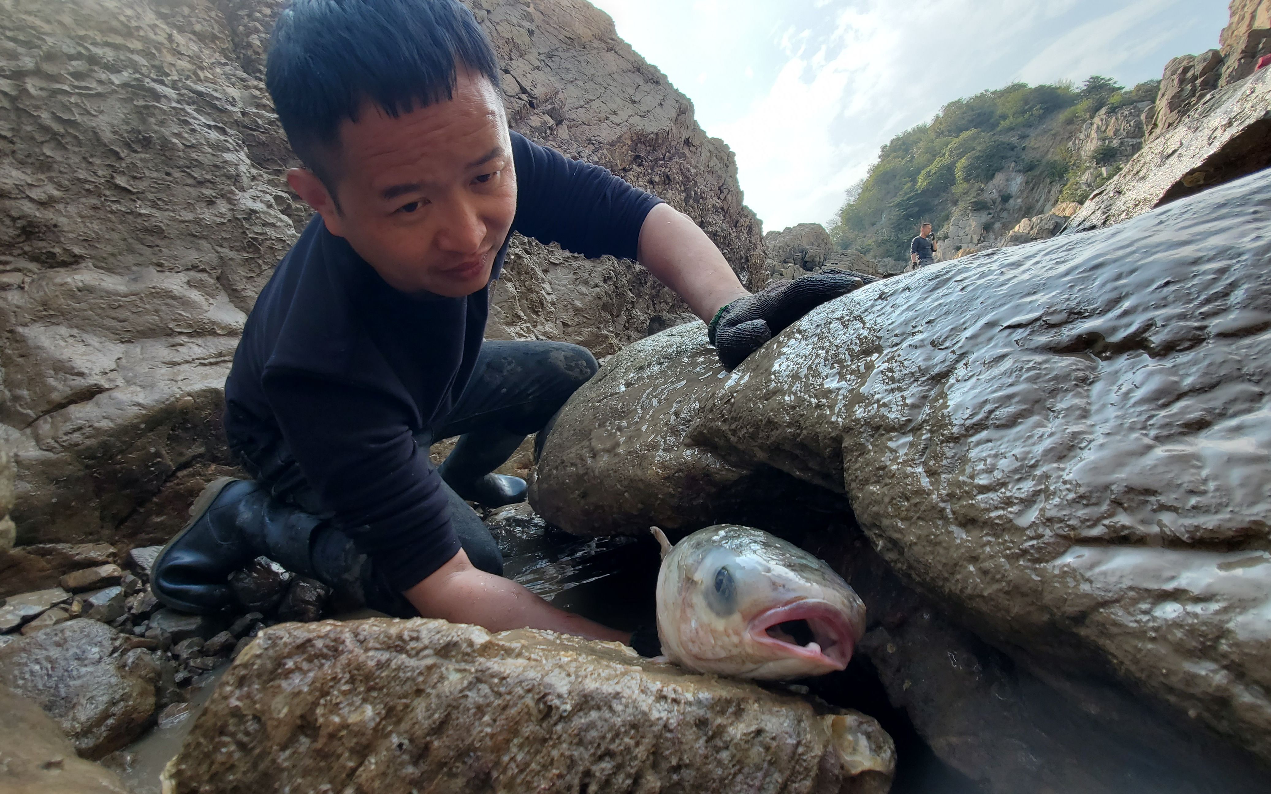赶海途中收到噩耗村花摔断肋骨急得小明怒抓几斤大鱼太解气了