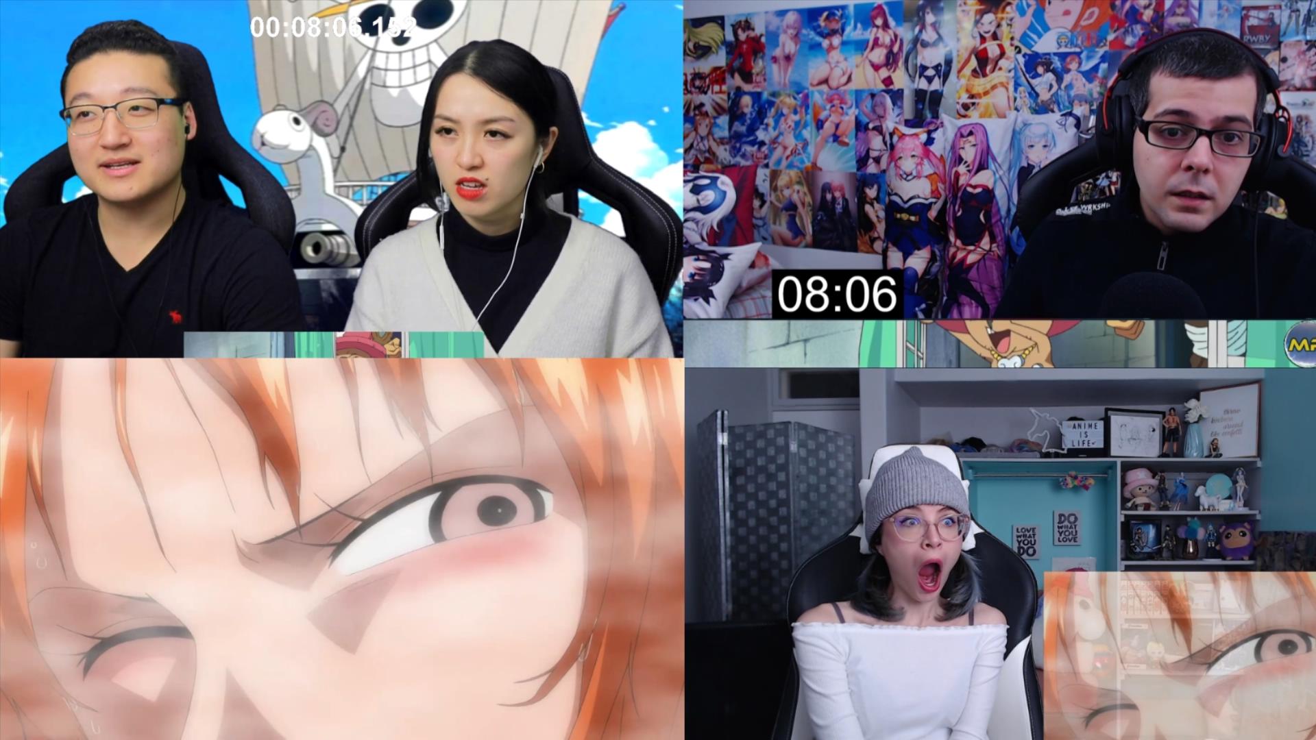 老外看海贼王莫利亚篇341 娜美被偷窥 透明果实的能力 路飞准备训犬