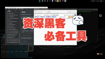 Download Video: [工具推荐]-百分之99黑客都在用的信息收集工具-黑客必备工具