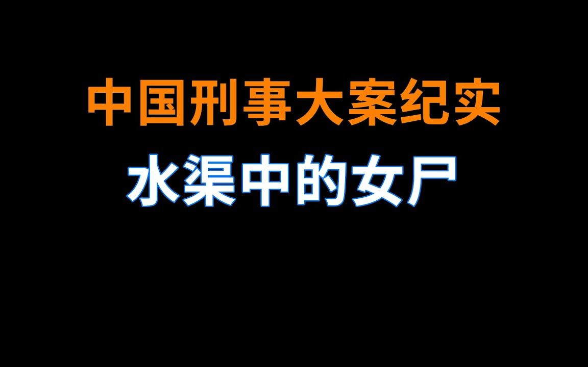 2003年天津水渠中的女尸  中国刑事大案纪实  刑事案件要案记录哔哩哔哩bilibili