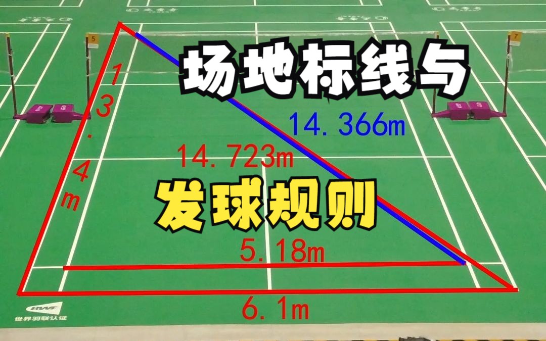 标准羽毛球场大小图片