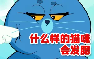 Download Video: 涨知识了！这些品种的猫咪更容易发腮哦